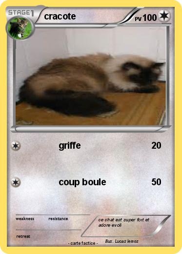 Pokemon cracote