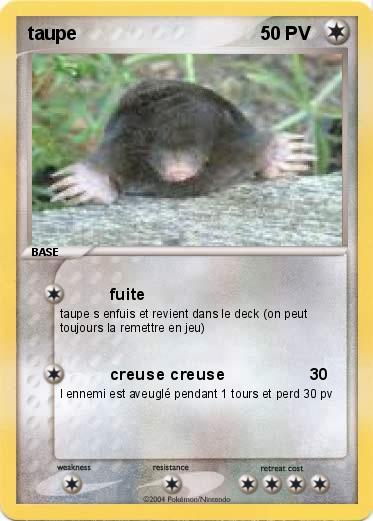 Pokemon taupe