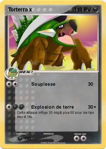 Pokemon Torterra x
