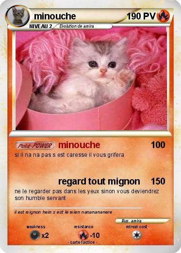Pokemon minouche