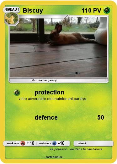 Pokemon Biscuy