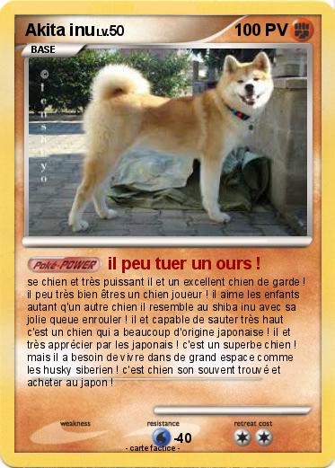Pokemon Akita inu