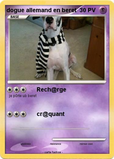 Pokemon dogue allemand en beret