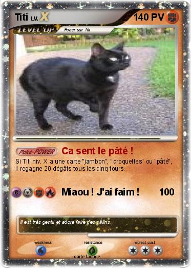 Pokemon Titi