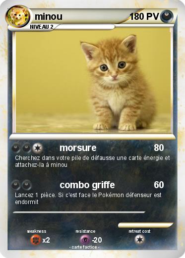 Pokemon minou