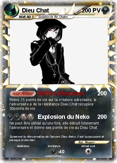 Pokemon Dieu Chat