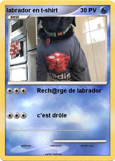 Pokemon labrador en t-shirt