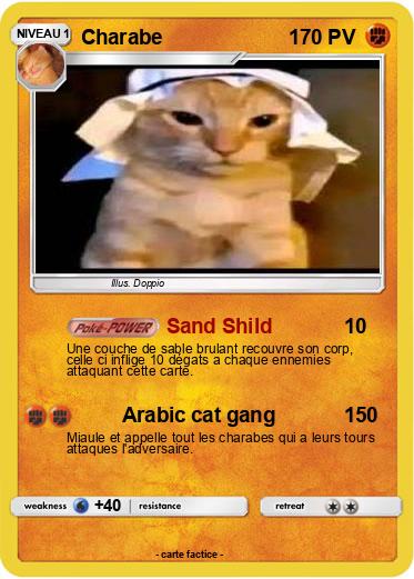 Pokemon Charabe