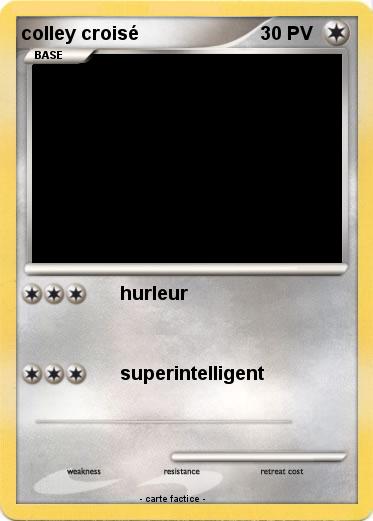 Pokemon colley croisé