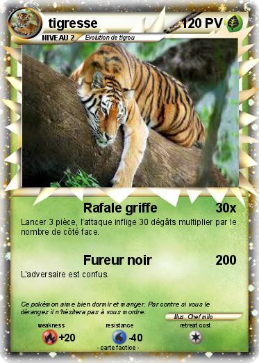 Pokemon tigresse