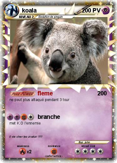 Pokemon koala
