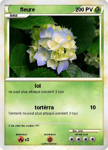 Pokemon fleure