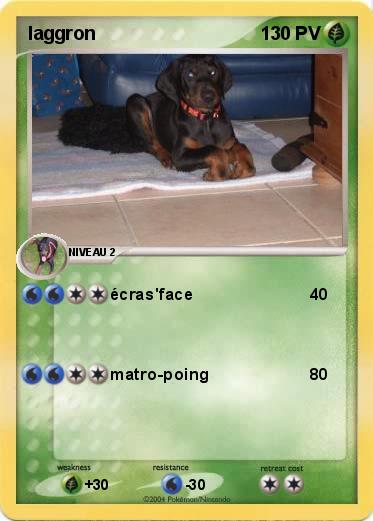 Pokemon laggron