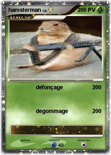 Pokemon hamsterman