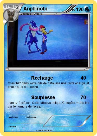 Pokemon Anphinobi
