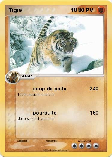 Pokemon Tigre                                10
