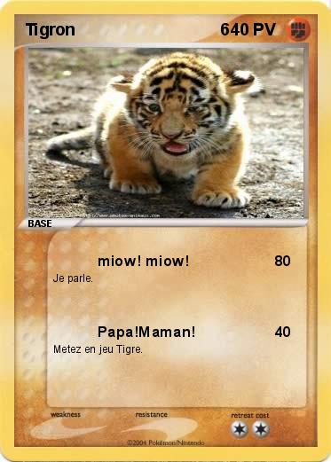 Pokemon Tigron                                6