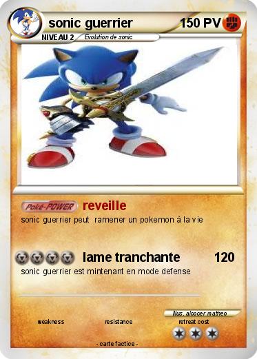 Pokemon sonic guerrier