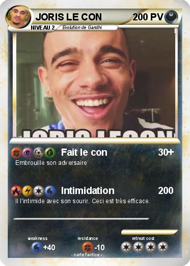 Pokemon JORIS LE CON
