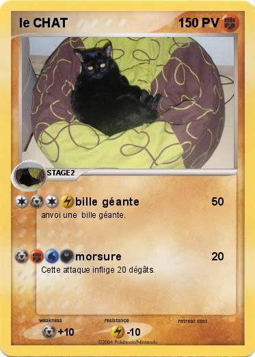 Pokemon le CHAT