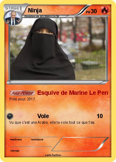 Pokemon Ninja