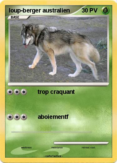 Pokemon loup-berger australien