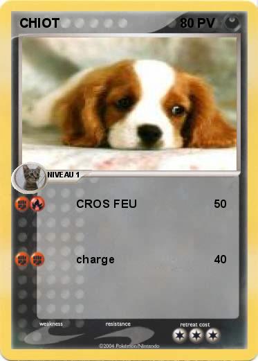 Pokemon CHIOT