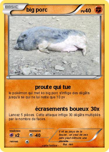 Pokemon big porc