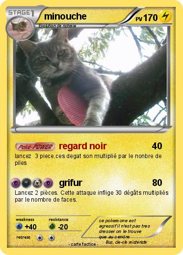 Pokemon minouche