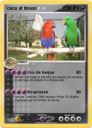 Pokemon coco et timon