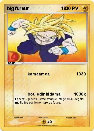 Pokemon big fureur                         18