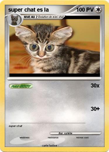 Pokemon super chat es la