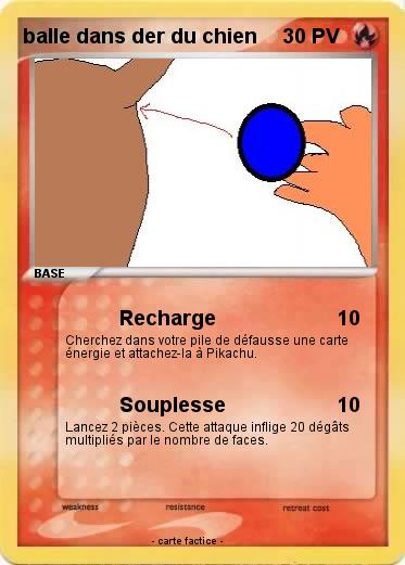 Pokemon balle dans der du chien