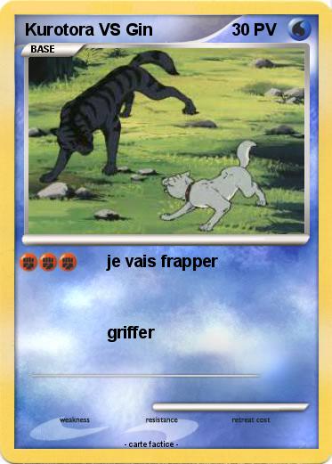 Pokemon Kurotora VS Gin