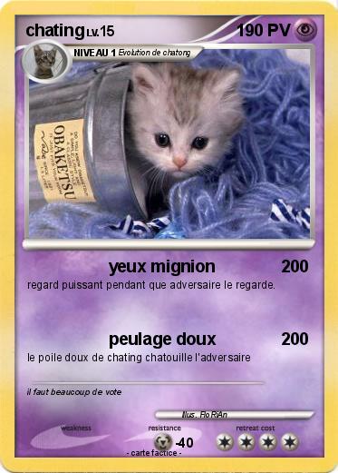 Pokemon chating
