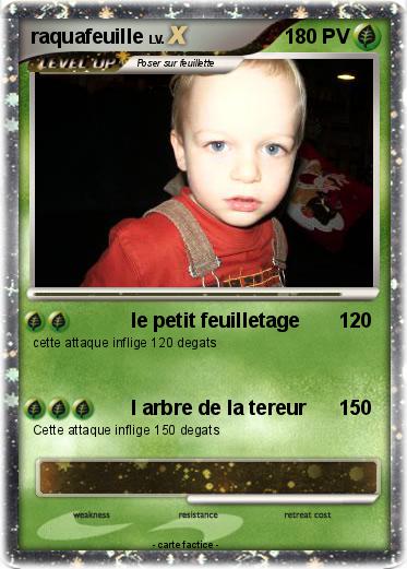 Pokemon raquafeuille