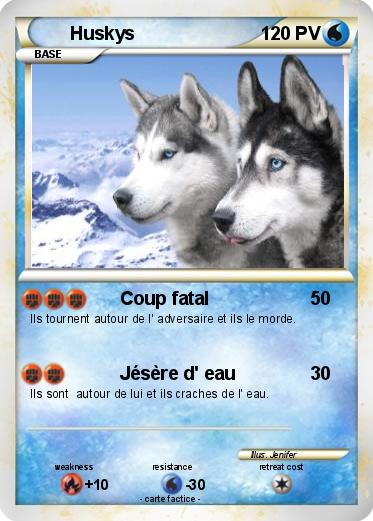Pokemon Huskys