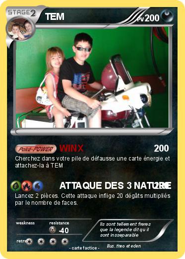 Pokemon TEM