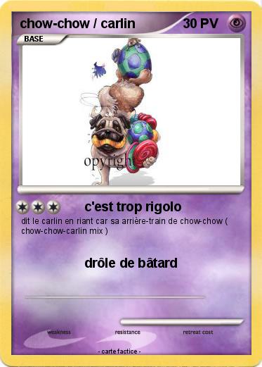 Pokemon chow-chow / carlin