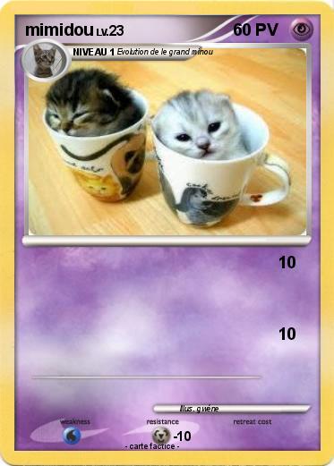 Pokemon mimidou