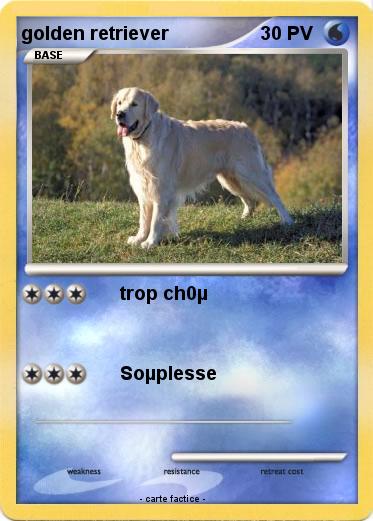Pokemon golden retriever