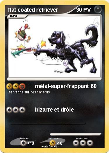 Pokemon flat coated retriever