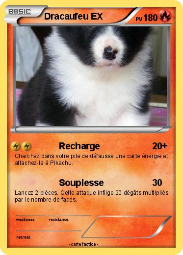 Pokemon Dracaufeu EX