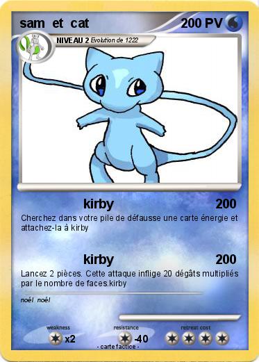 Pokemon sam  et  cat