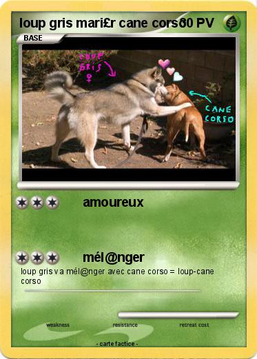 Pokemon loup gris mari£r cane corso