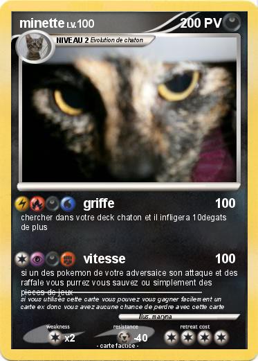 Pokemon minette