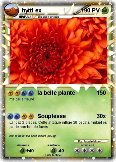 Pokemon hytti ex