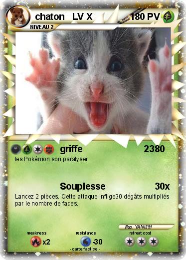 Pokemon chaton   LV X