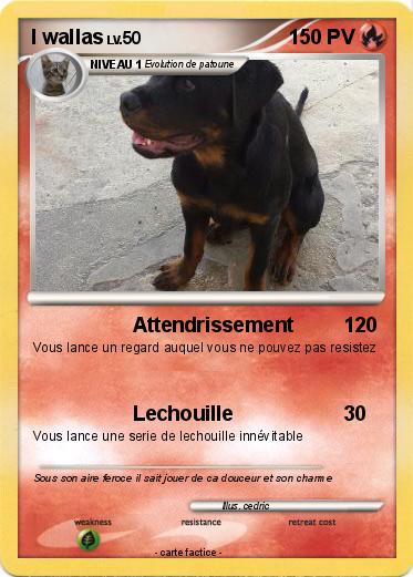 Pokemon I wallas