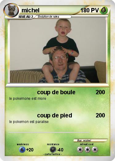 Pokemon michel